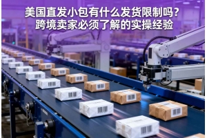 美國直發(fā)小包有什么發(fā)貨限制嗎？跨境賣家必須了解的實(shí)操經(jīng)驗(yàn)